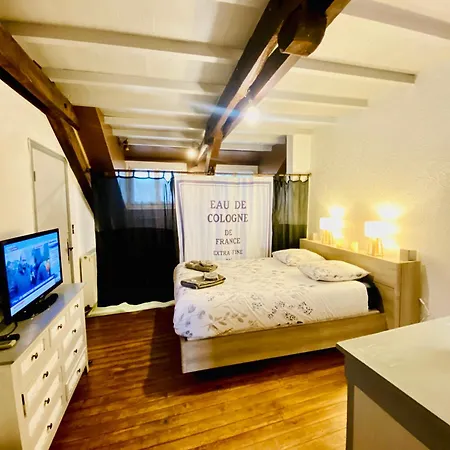 Un Coin De Bigorre - La Pyreneenne - 130m2 - Canal Plus, Netflix, Bein, Apple Tv - Wifi Fibre - Village Campagne * Tournay